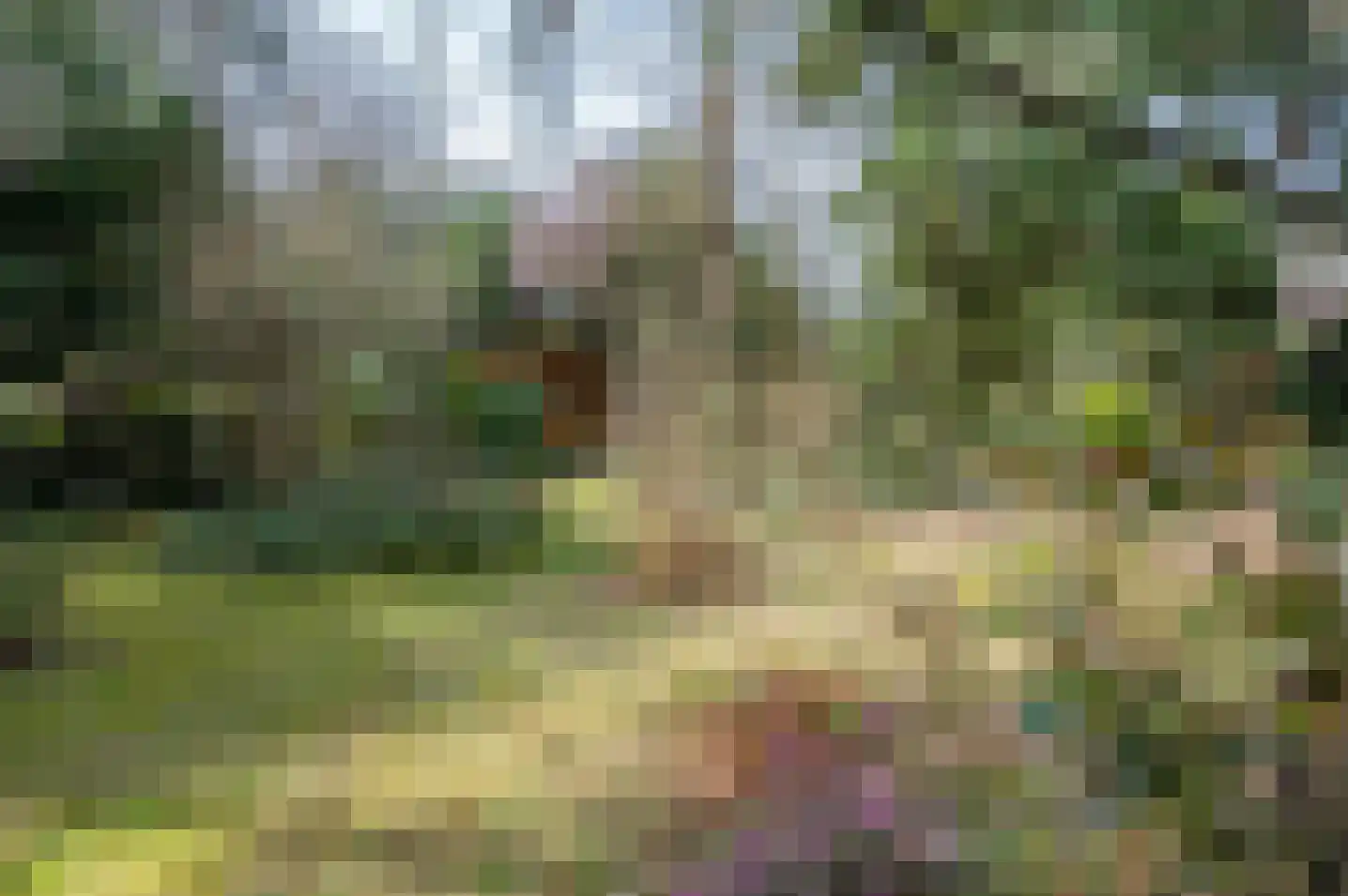 Ruurloseweg 30 V 86 Zelhem thumbnail 41