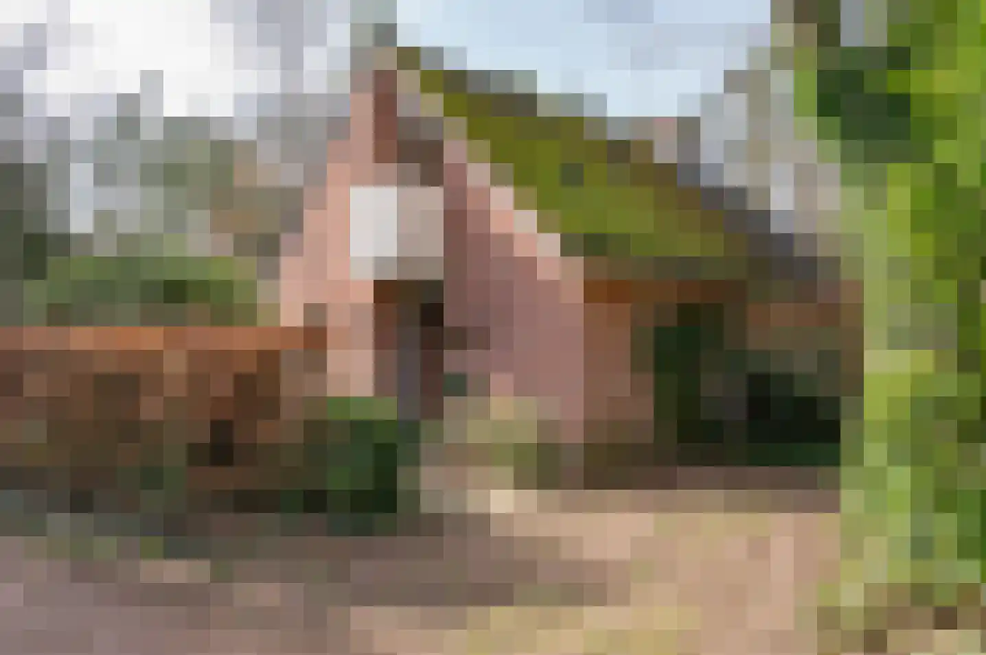 Ruurloseweg 30 V 86 Zelhem thumbnail 5