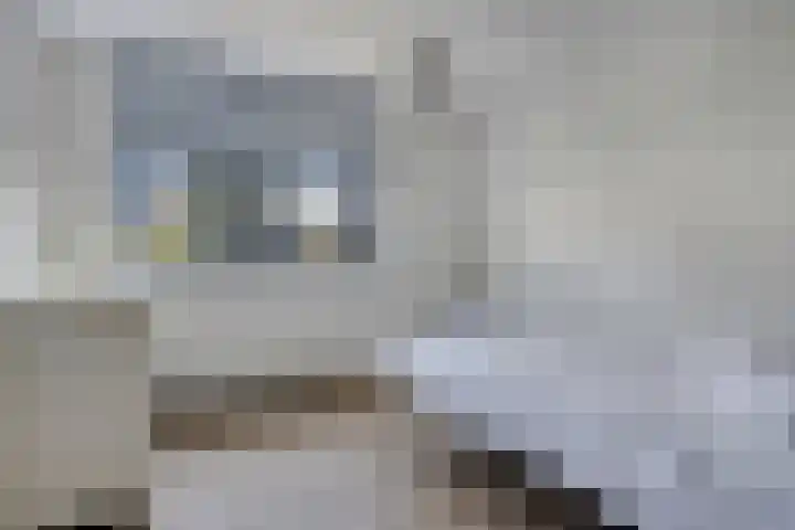 Ruurlostraat 2 Tilburg thumbnail 24