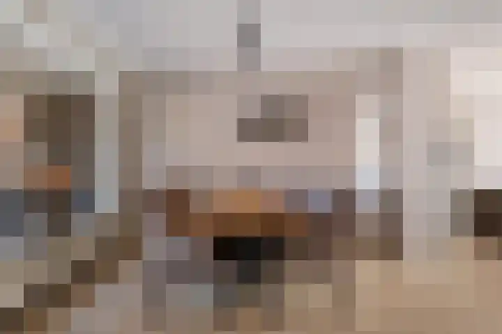 Ruusbroecgaarde 107 Oss thumbnail 11