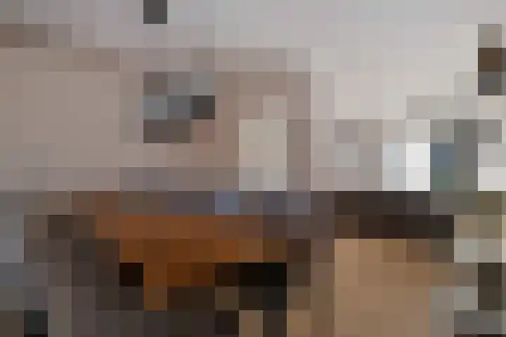 Ruusbroecgaarde 107 Oss thumbnail 12