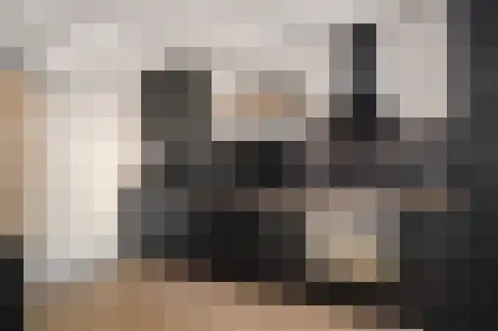 Ruusbroecgaarde 107 Oss thumbnail 14