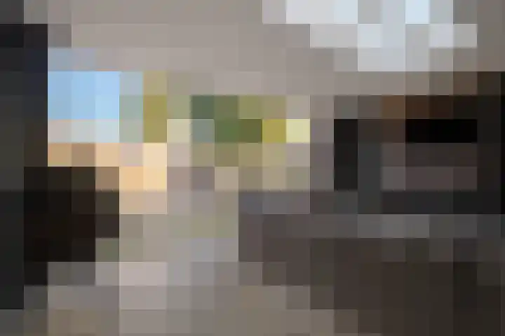 Ruusbroecgaarde 107 Oss thumbnail 18
