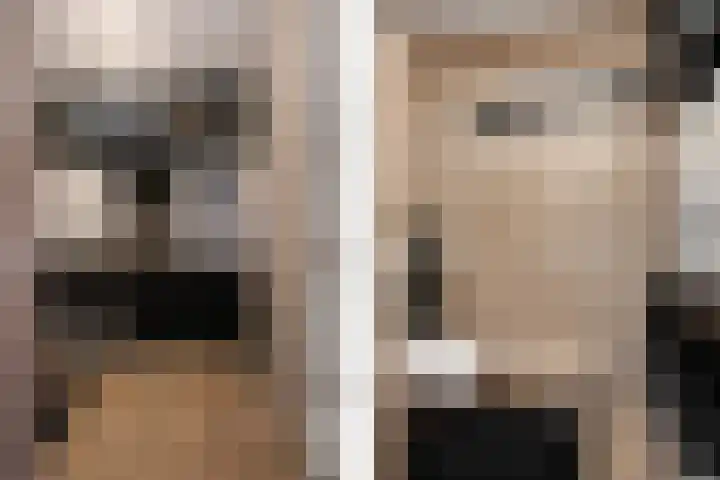 Ruusbroecgaarde 107 Oss thumbnail 33
