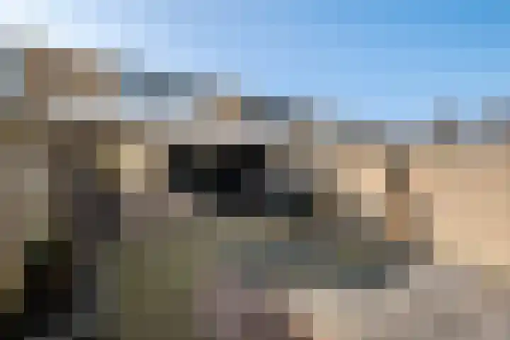 Ruusbroecgaarde 107 Oss thumbnail 37