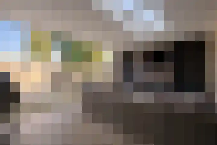 Ruusbroecgaarde 107 Oss thumbnail 4