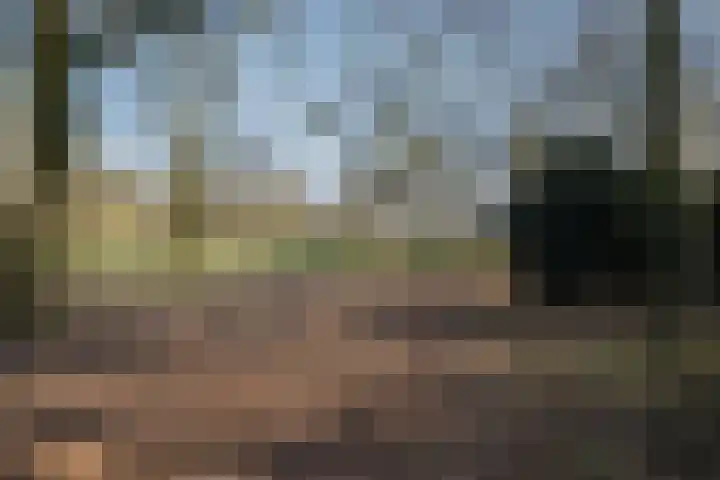 Ruusbroecgaarde 107 Oss thumbnail 43