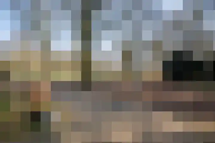 Ruusbroecgaarde 107 Oss thumbnail 44