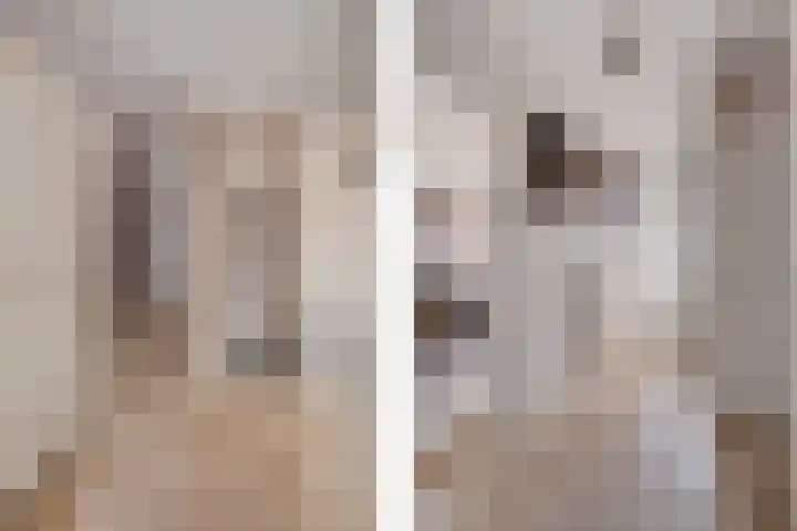 Ruusbroecgaarde 107 Oss thumbnail 5
