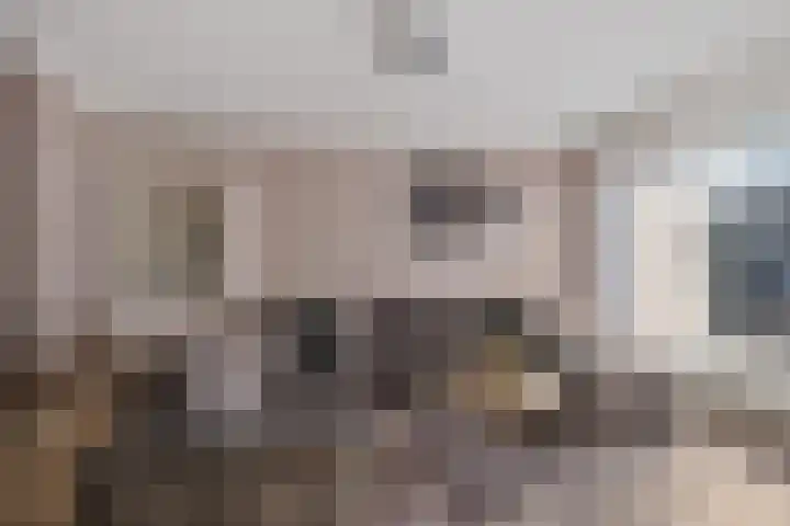 Ruusbroecgaarde 107 Oss thumbnail 7