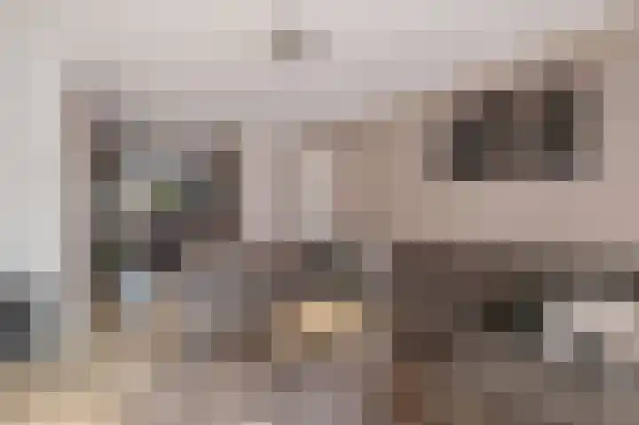 Ruusbroecgaarde 107 Oss thumbnail 9