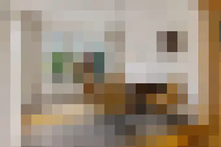 Ruusbroecgaarde 143 Oss thumbnail 10