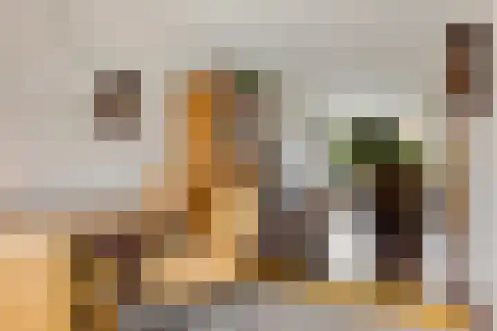 Ruusbroecgaarde 143 Oss thumbnail 11
