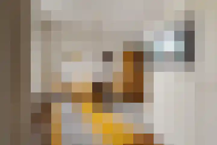 Ruusbroecgaarde 143 Oss thumbnail 12