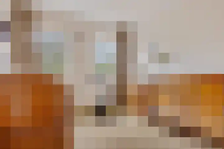 Ruusbroecgaarde 143 Oss thumbnail 24