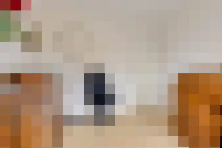 Ruusbroecgaarde 143 Oss thumbnail 25