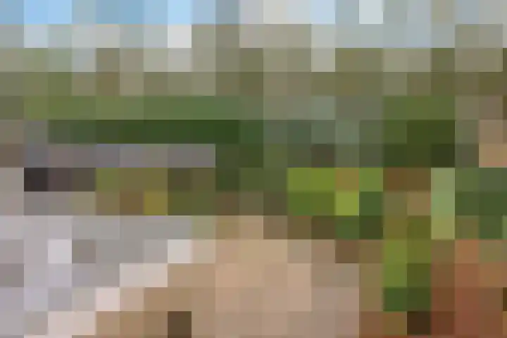 Ruusbroecgaarde 143 Oss thumbnail 26