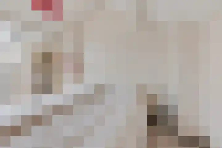 Ruusbroecgaarde 143 Oss thumbnail 33