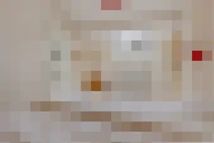 Ruusbroecgaarde 143 Oss thumbnail 34