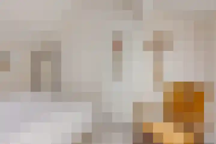 Ruusbroecgaarde 143 Oss thumbnail 35