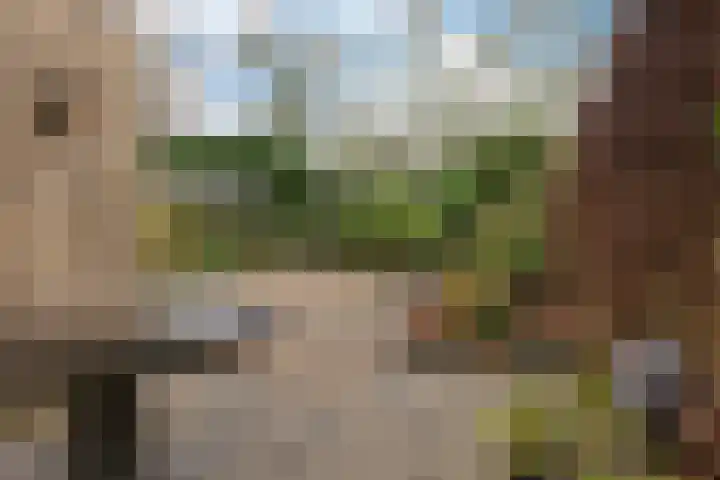 Ruusbroecgaarde 143 Oss thumbnail 37