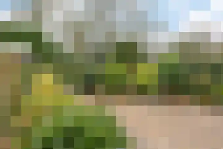 Ruusbroecgaarde 143 Oss thumbnail 4