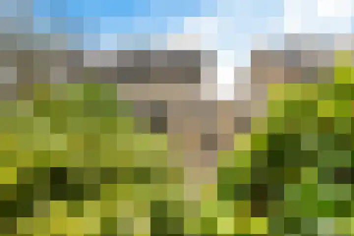 Ruusbroecgaarde 143 Oss thumbnail 40