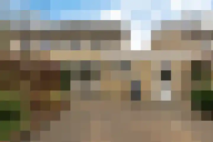 Ruusbroecgaarde 143 Oss thumbnail 41