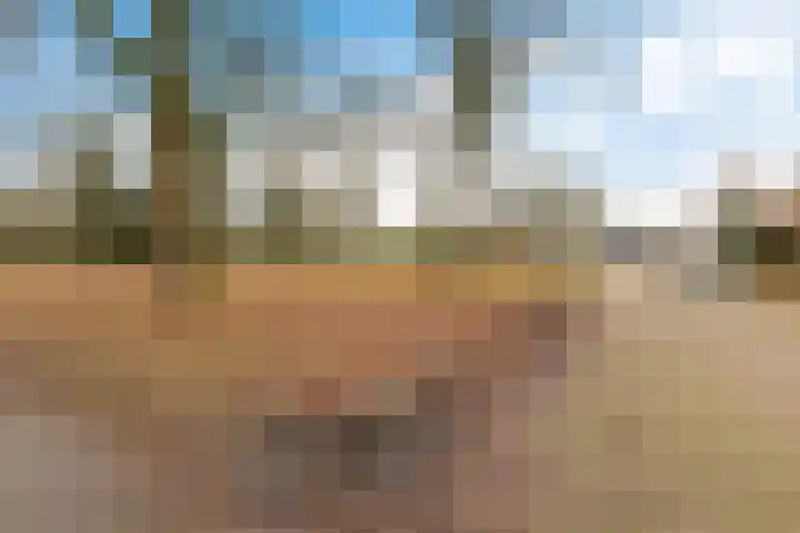 Ruusbroecgaarde 143 Oss thumbnail 45