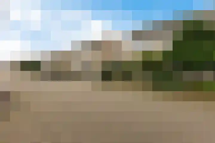 Ruusbroecgaarde 143 Oss thumbnail 48