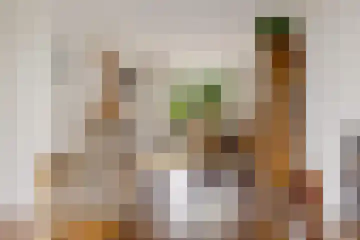 Ruusbroecgaarde 143 Oss thumbnail 9