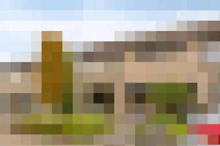 Ruusbroecgaarde 153 Oss