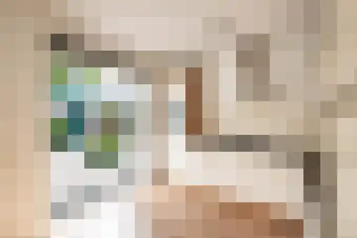 Ruusbroecgaarde 191 Oss thumbnail 10