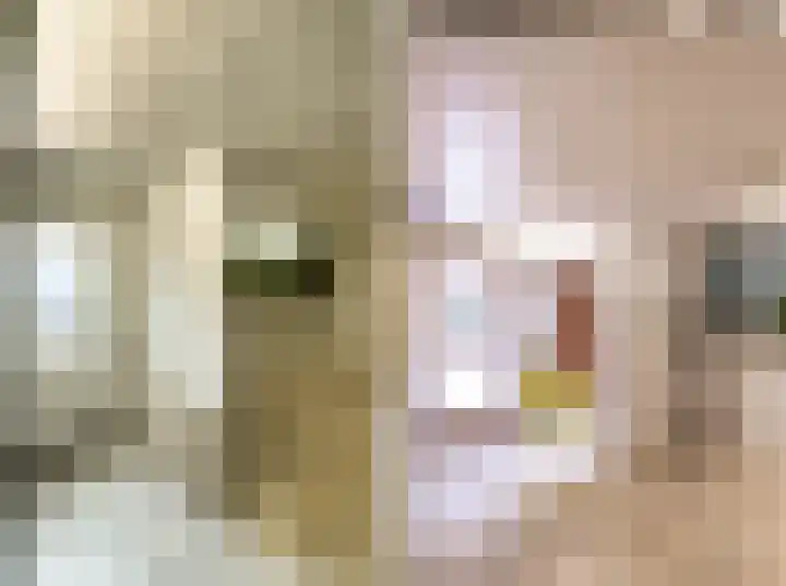 Ruusbroecgaarde 191 Oss thumbnail 11
