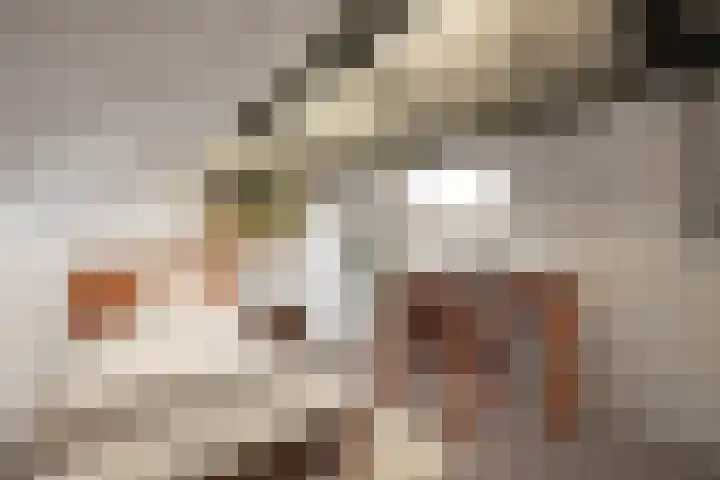 Ruusbroecgaarde 191 Oss thumbnail 16