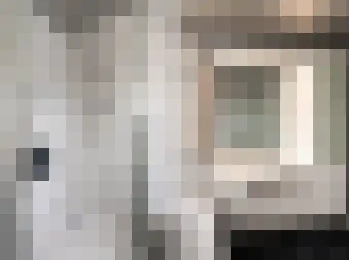 Ruusbroecgaarde 191 Oss thumbnail 18