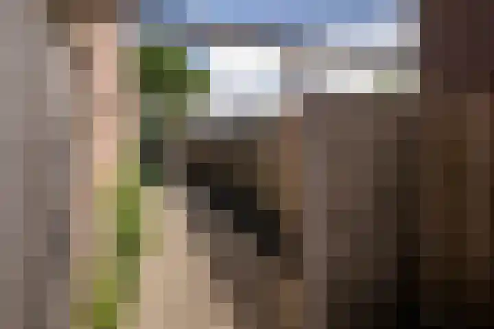 Ruusbroecgaarde 191 Oss thumbnail 20