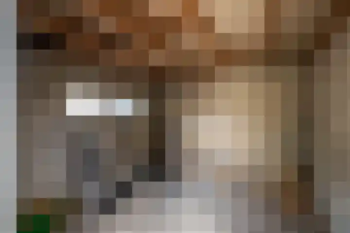 Ruusbroecgaarde 191 Oss thumbnail 24