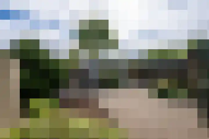 Ruusbroecgaarde 191 Oss thumbnail 4
