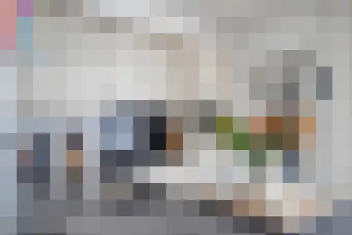 Ruusbroecgaarde 63 Oss thumbnail 10