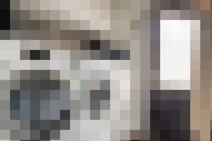 Ruusbroecgaarde 63 Oss thumbnail 12