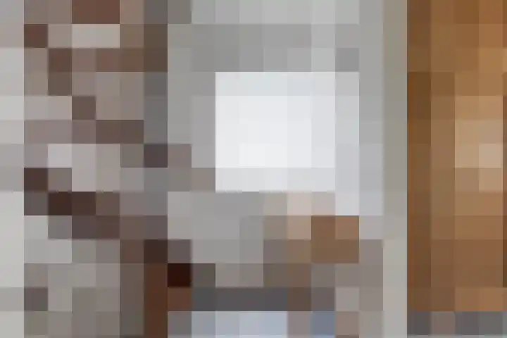 Ruusbroecgaarde 63 Oss thumbnail 22