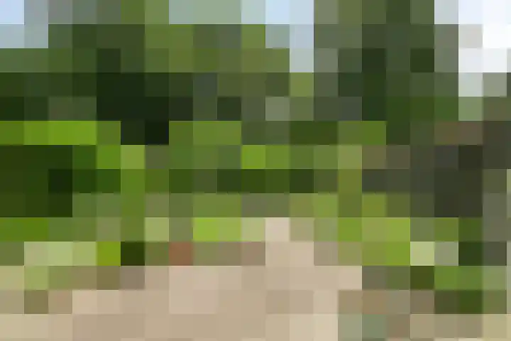 Ruusbroecgaarde 63 Oss thumbnail 27