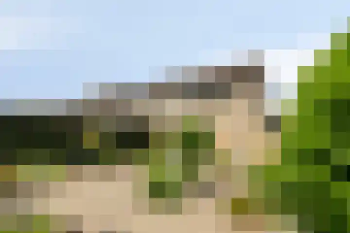 Ruusbroecgaarde 63 Oss thumbnail 28