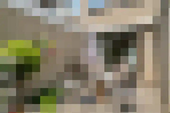 Ruusbroecgaarde 63 Oss thumbnail 29