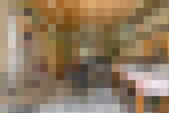 Ruusbroecgaarde 63 Oss thumbnail 30