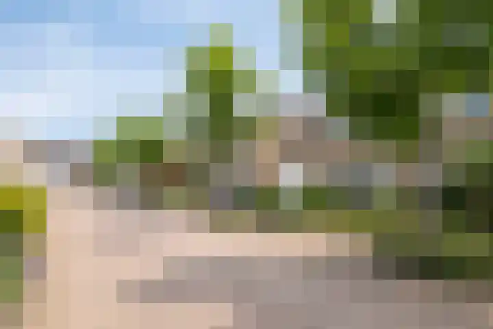 Ruusbroecgaarde 63 Oss thumbnail 33
