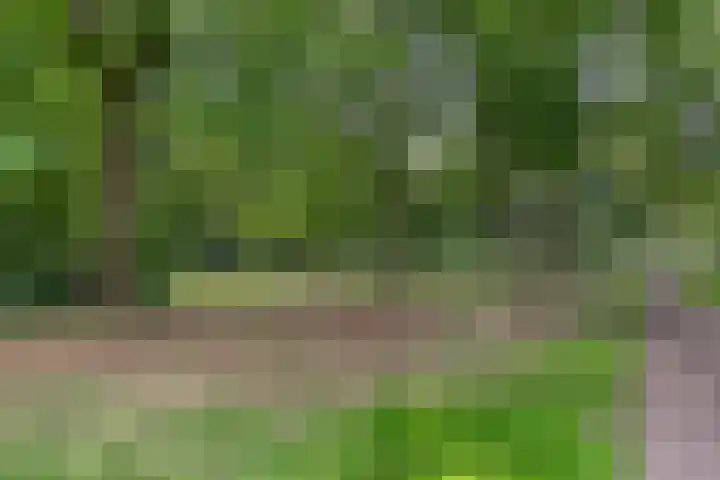 Ruusbroecgaarde 63 Oss thumbnail 34