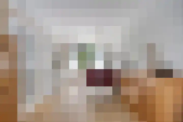 Ruusbroecgaarde 63 Oss thumbnail 6