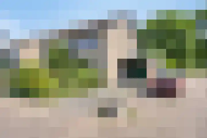 Ruusbroecgaarde 77 Oss